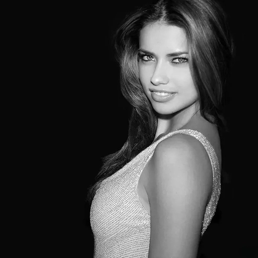 cool adriana lima pfp