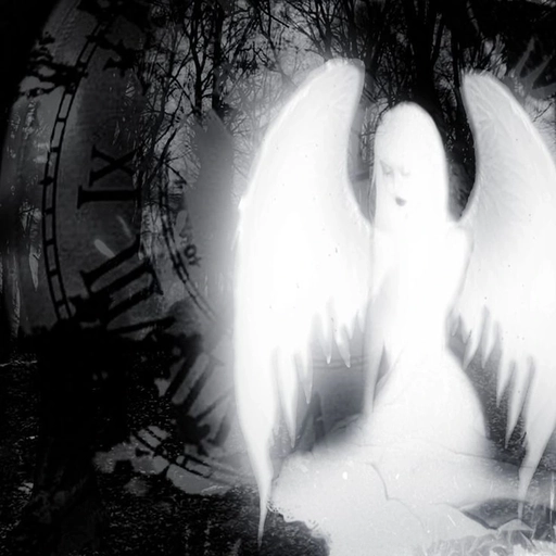 angel aesthetic pfp light dreamy theme