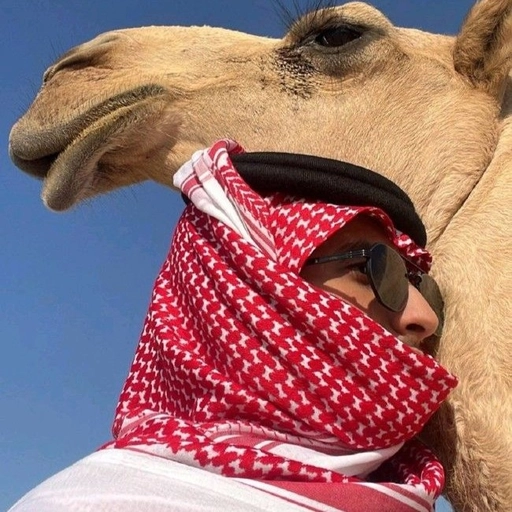 arab anime pfp hd