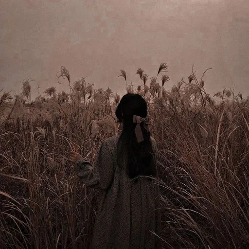 aesthetic pfp autumn mood