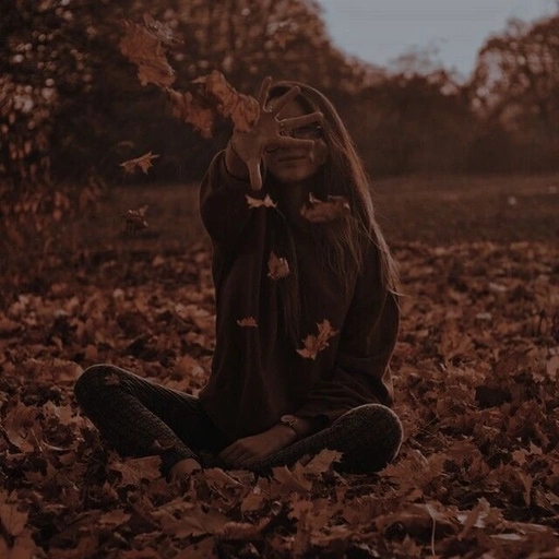 autumn aesthetic pfp vintage