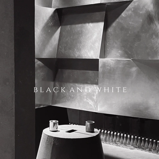 aesthetic black and white profile pictures image