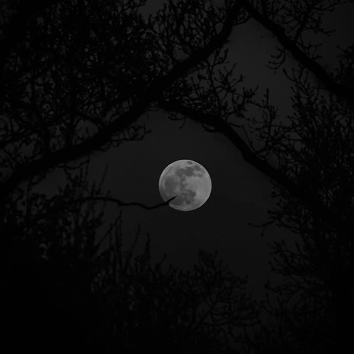 black and white pfp background hd