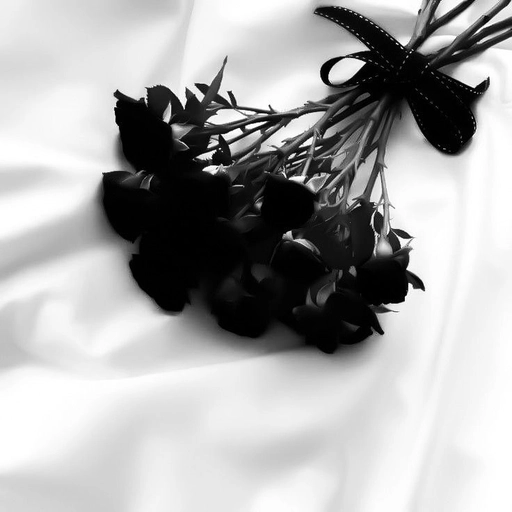 black and white pfp background aesthetic