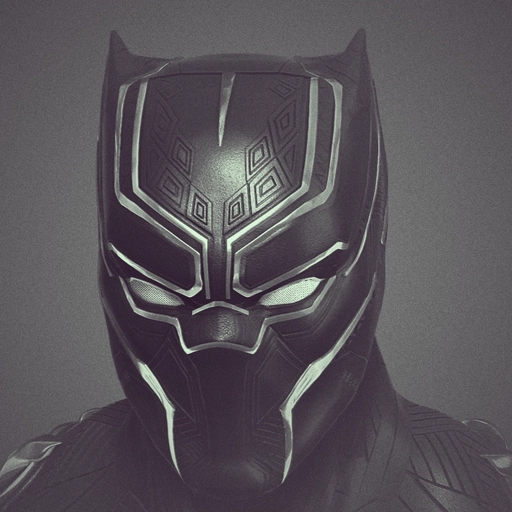 black panther pfp beauty