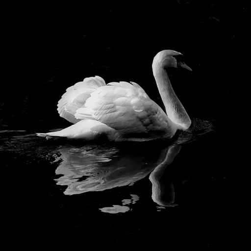 black pfp minimalist icon