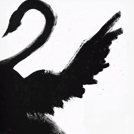 classic pfp black aesthetic style 