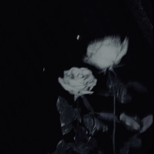 black pfp aesthetic profile icon 