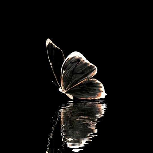 pfp aesthetic black for instagram profile