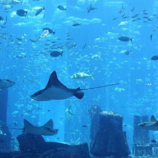 light blue pfp anime wallpaper