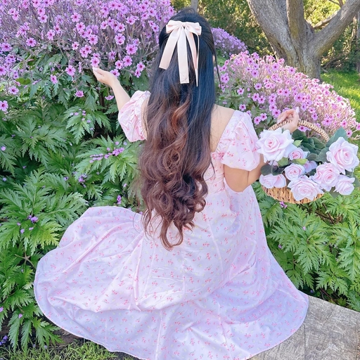 coquette aesthetic pfp aesthetic art