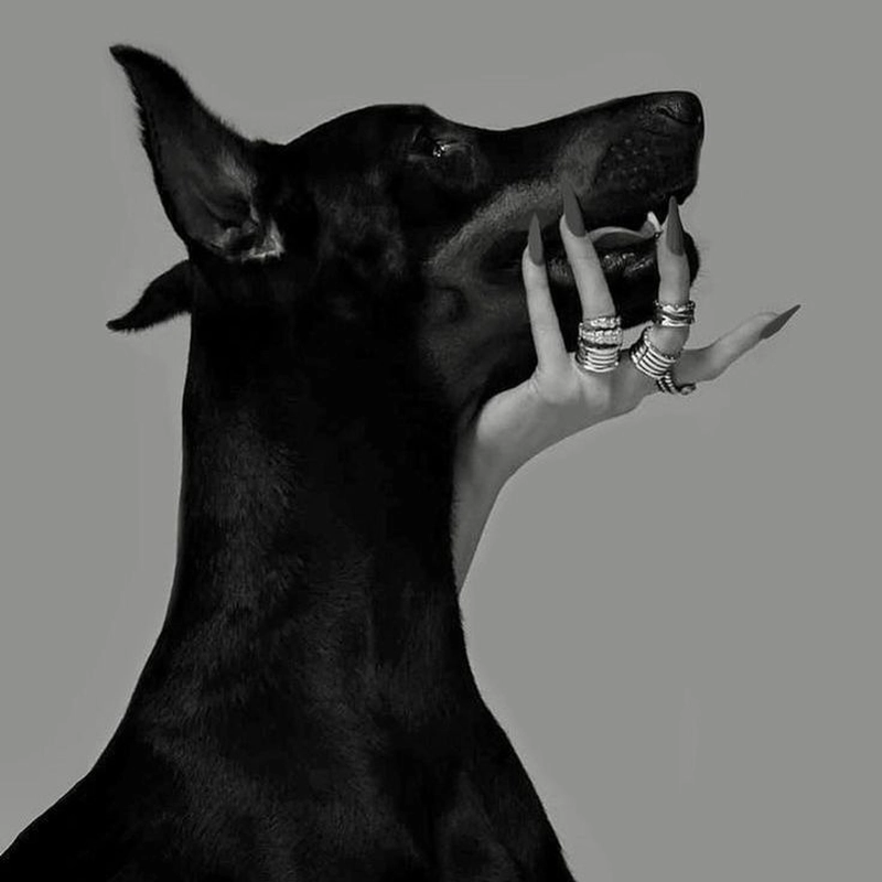 dark anime aesthetic profile pic