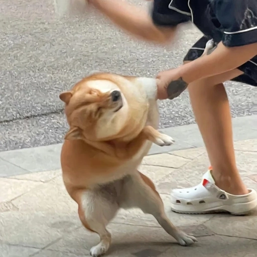 funny pfp for friends 