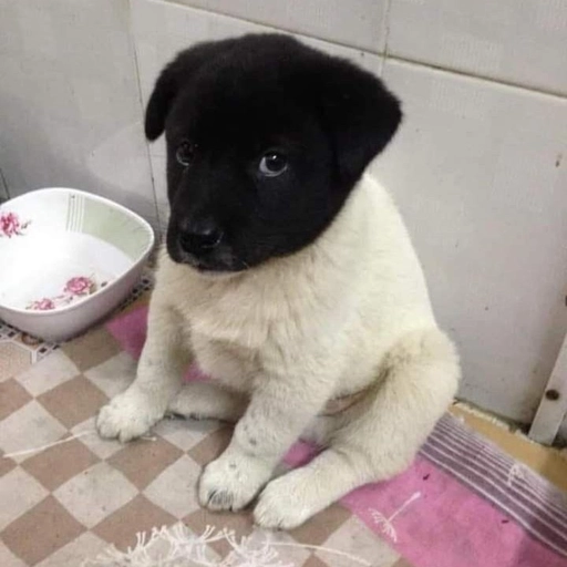 discord goofy pfp image