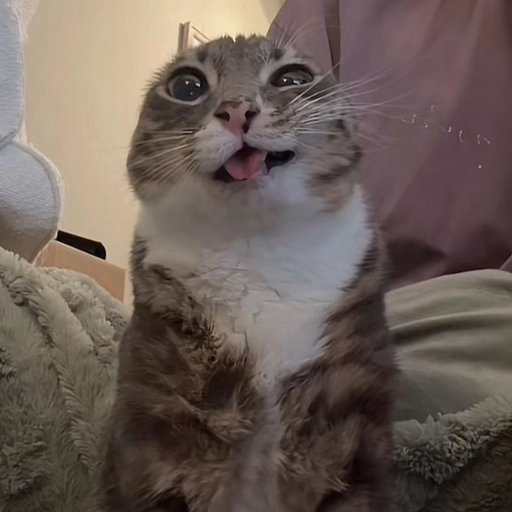 funny goofy pfp gallery