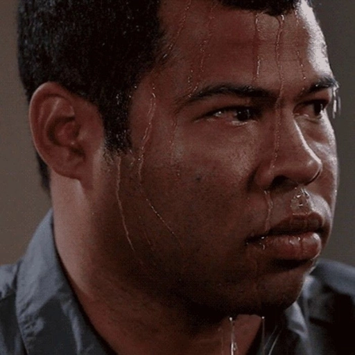 goofy cat pfp aesthetic