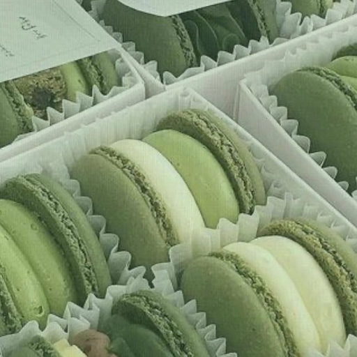 sage green aesthetic pfp wallpaper