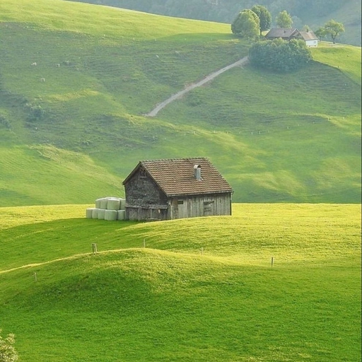 green aesthetic pfp aesthetic wallpaper