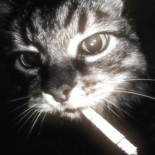 grunge aesthetic profile pfp