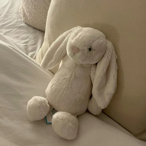 cute jellycat pfp anime look