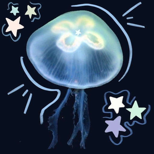 minimalist aesthetic jellyfish pfp