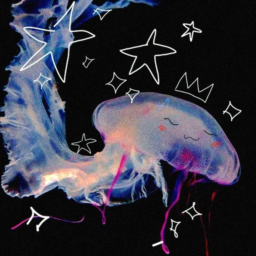 jellyfish pfp