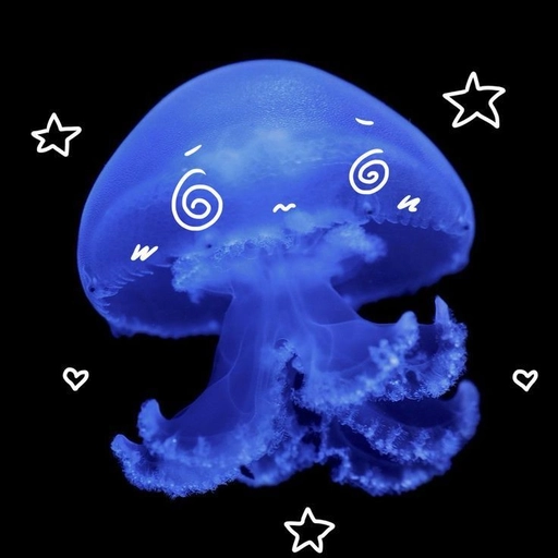 jellyfish profile picture hd