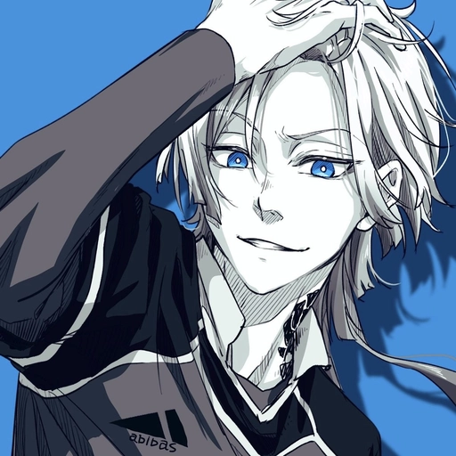 blue michael kaiser pfp profile