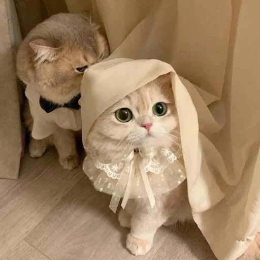 animal themed matching pfp