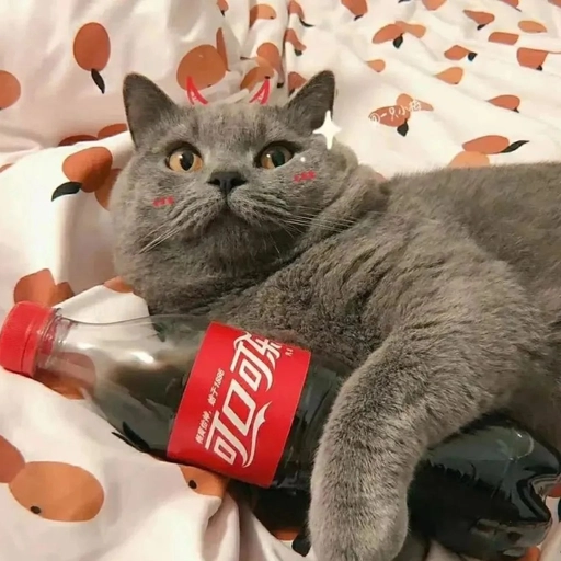 cute and funny matching animal pfp