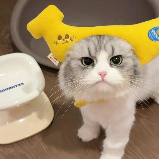 matching pfp for 2 friends animals pets