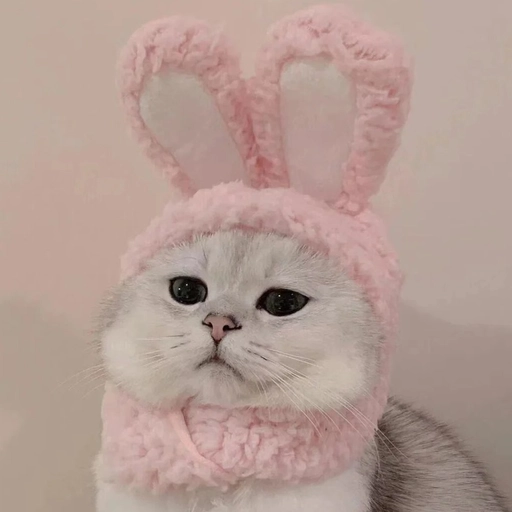 matching animal pfp collection