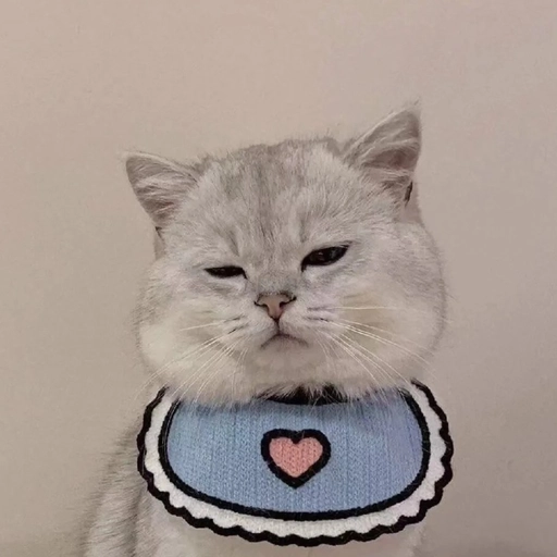 matching pfp animals 2025