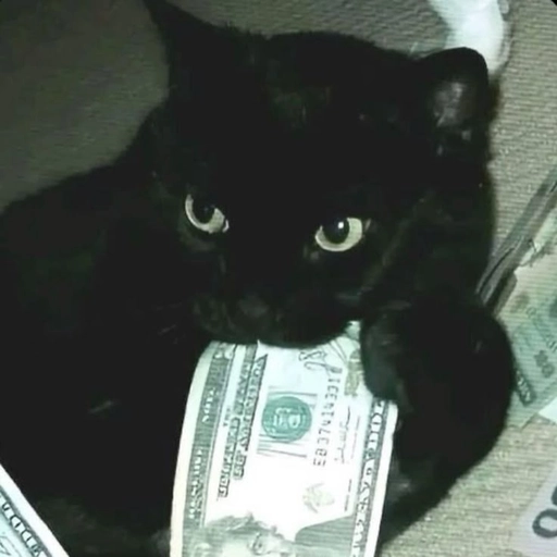 money pfp for instagram profile