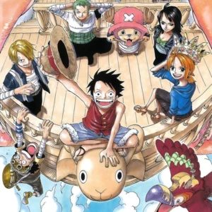 one piece pfp anime wallpaper
