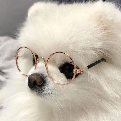 pfp ideas for social media