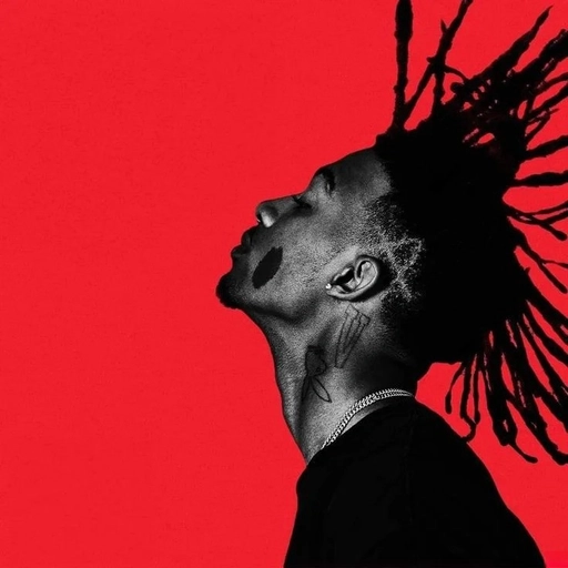 playboi carti pfp aesthetic image