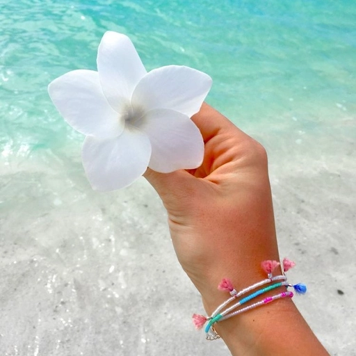 preppy pictures pfp pastel vibe