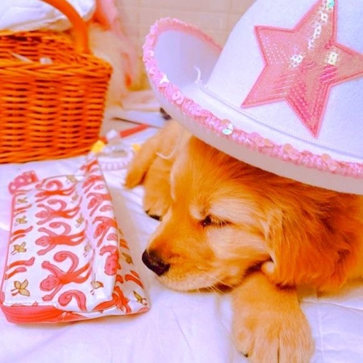 preppy pictures pfp aesthetic