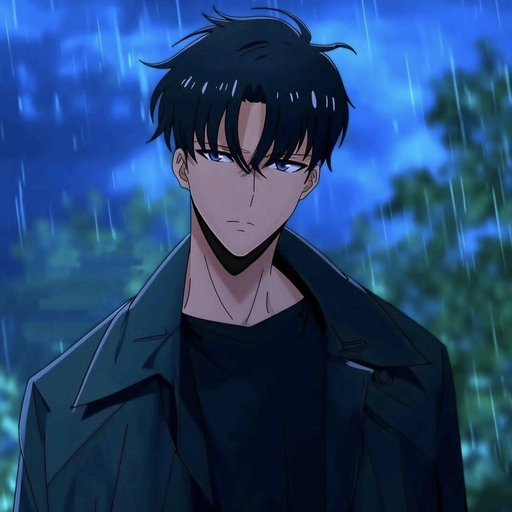 sung jin woo profile picture aesthetic