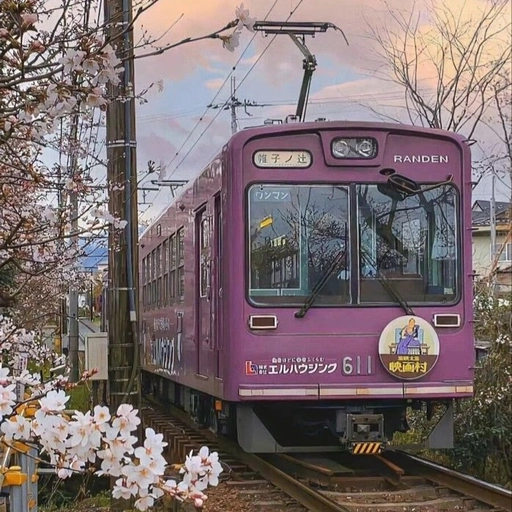 japanese aesthetic pfp cool design