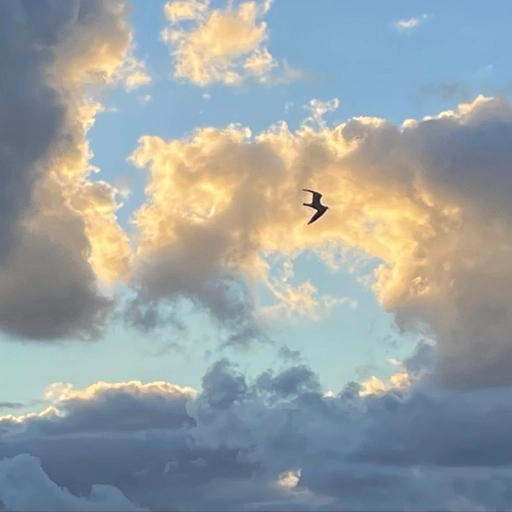 aesthetic cartoon sky pfp