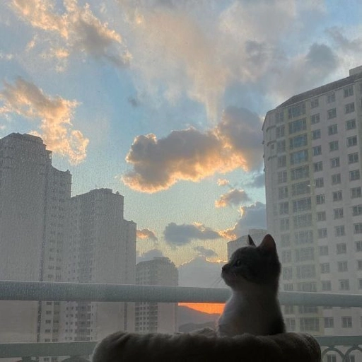 aesthetic sky discord pfp