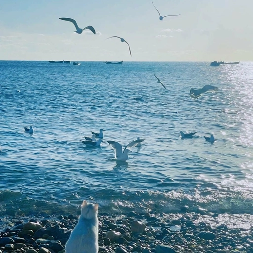 aesthetic blue sky profile picture