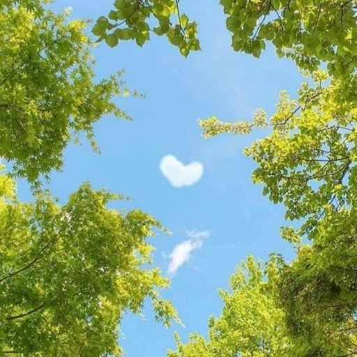 aesthetic pfp sky heart