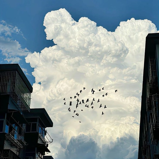 sky aesthetic profile picture