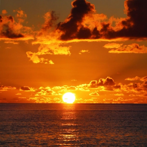 aesthetic sunset profile pic 