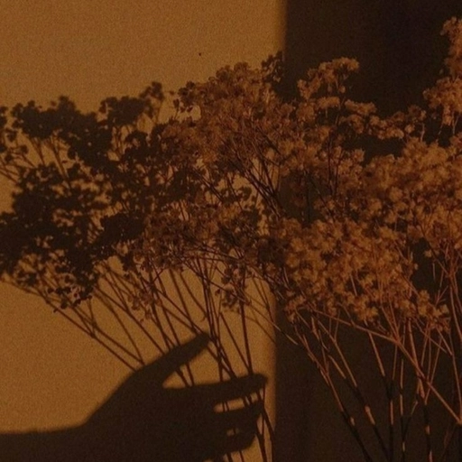 pfp aesthetic brown digital illustration