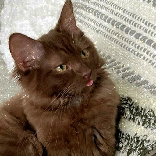 aesthetic brown pfp warm colors