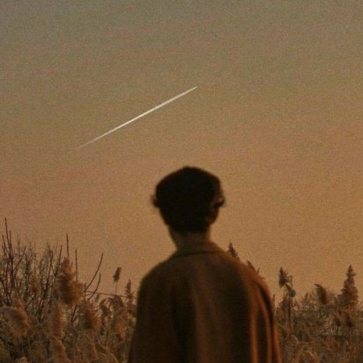 brown aesthetic profile pic minimalistic